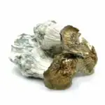 Melmac PE - Image 3
