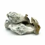 Melmac PE - Image 4