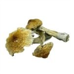 Purple Mystic (28g) - Image 2