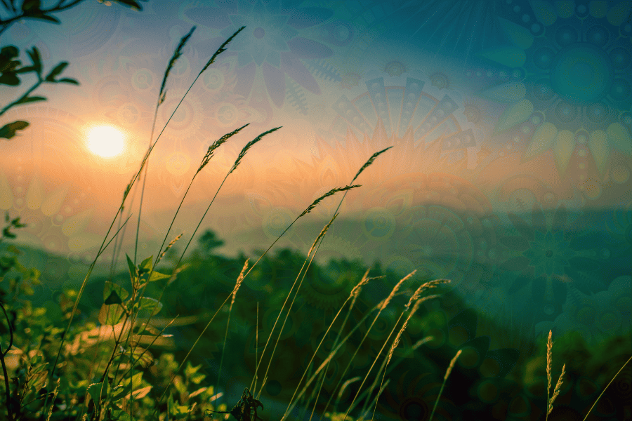 Tripping in Nature