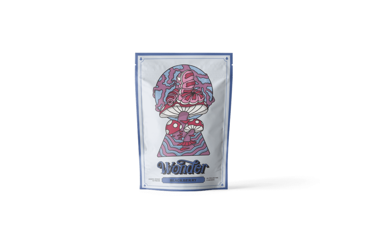 3g Blackberry Shroom Gummies - Image 1