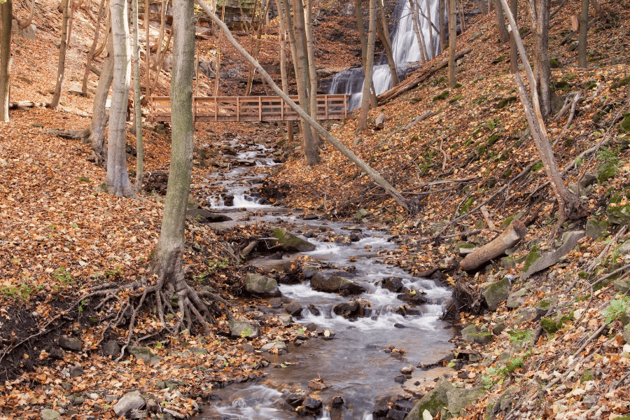 Bruce Trail
