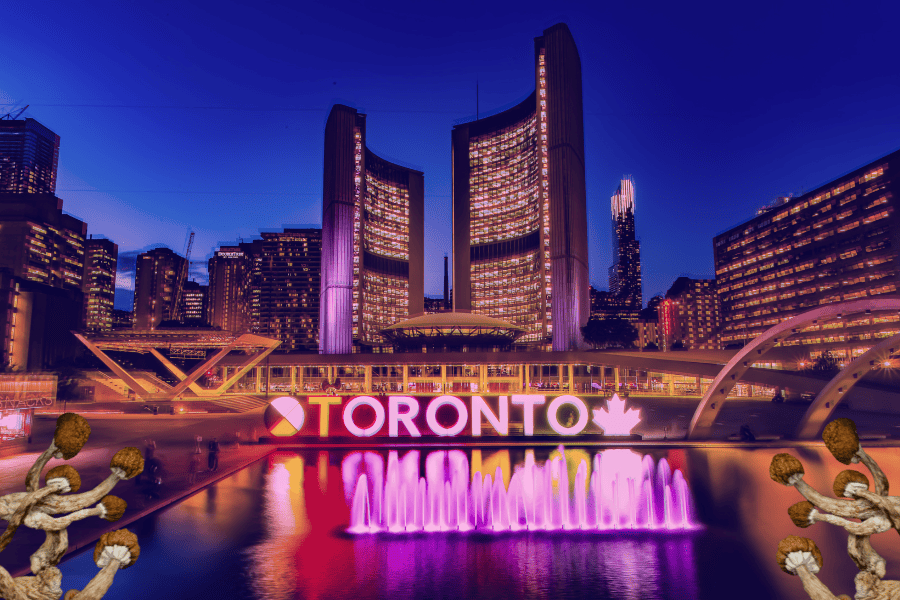 How to Safely Purchase Shrooms in Toronto