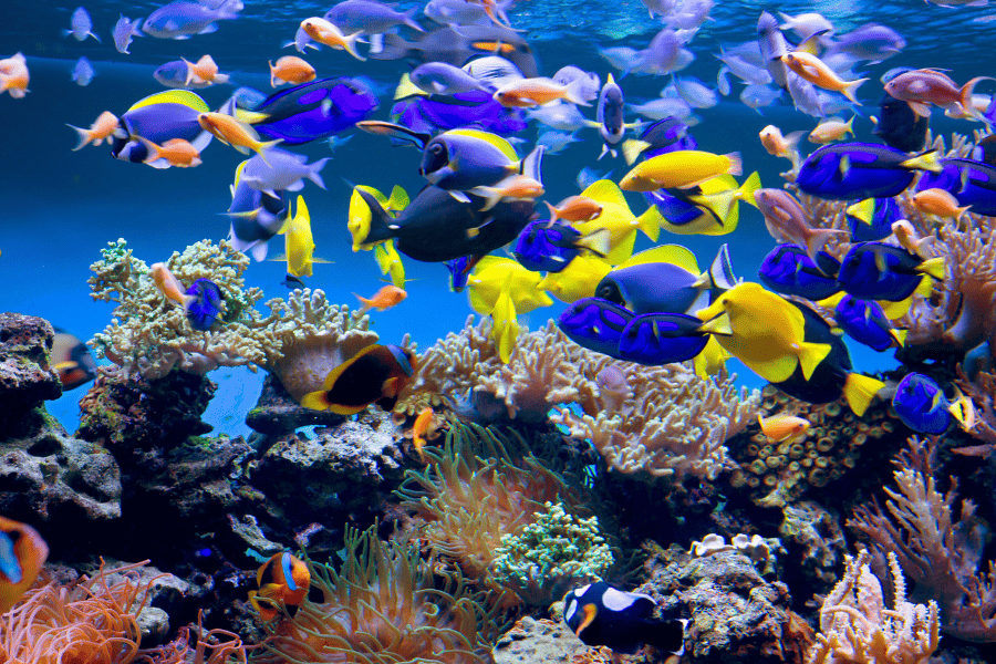 7 Things to Do While on Shrooms in Toronto