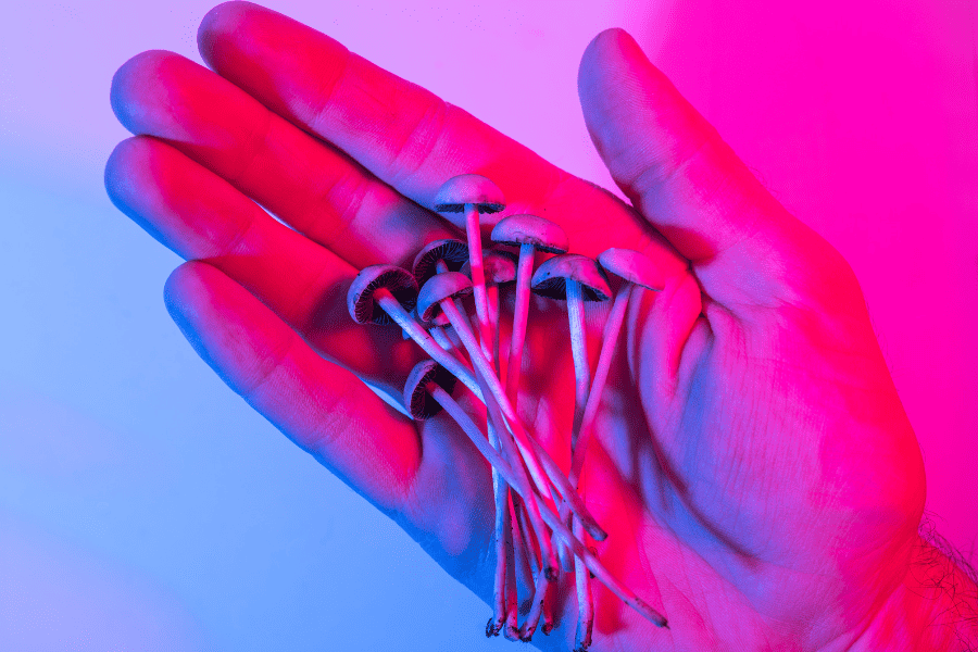Why the Psychiatric and Therapeutic Communities Are Excited About Psilocybin