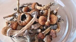 What Should I Do If I Feel Overwhelmed During the Psilocybin Experience?