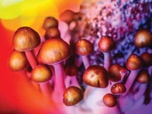 What Should I Do If I Feel Overwhelmed During the Psilocybin Experience?