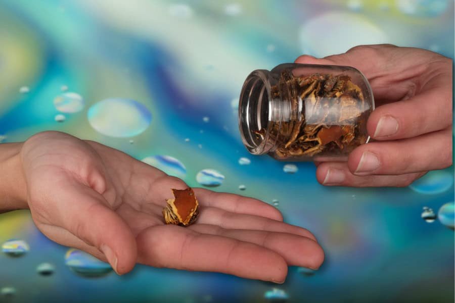 Can Microdosing Shrooms Help With Problem Solving?