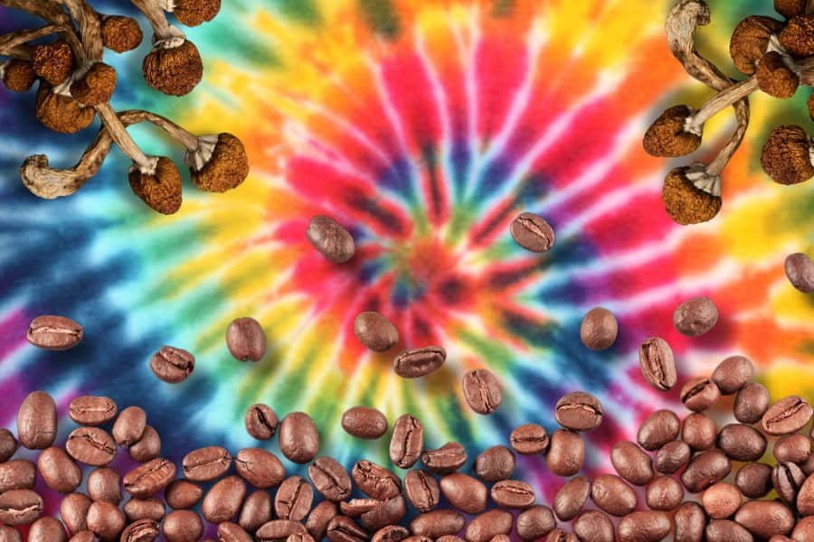 Magic Mushroom Coffee: How to Brew + 3 Great Recipes