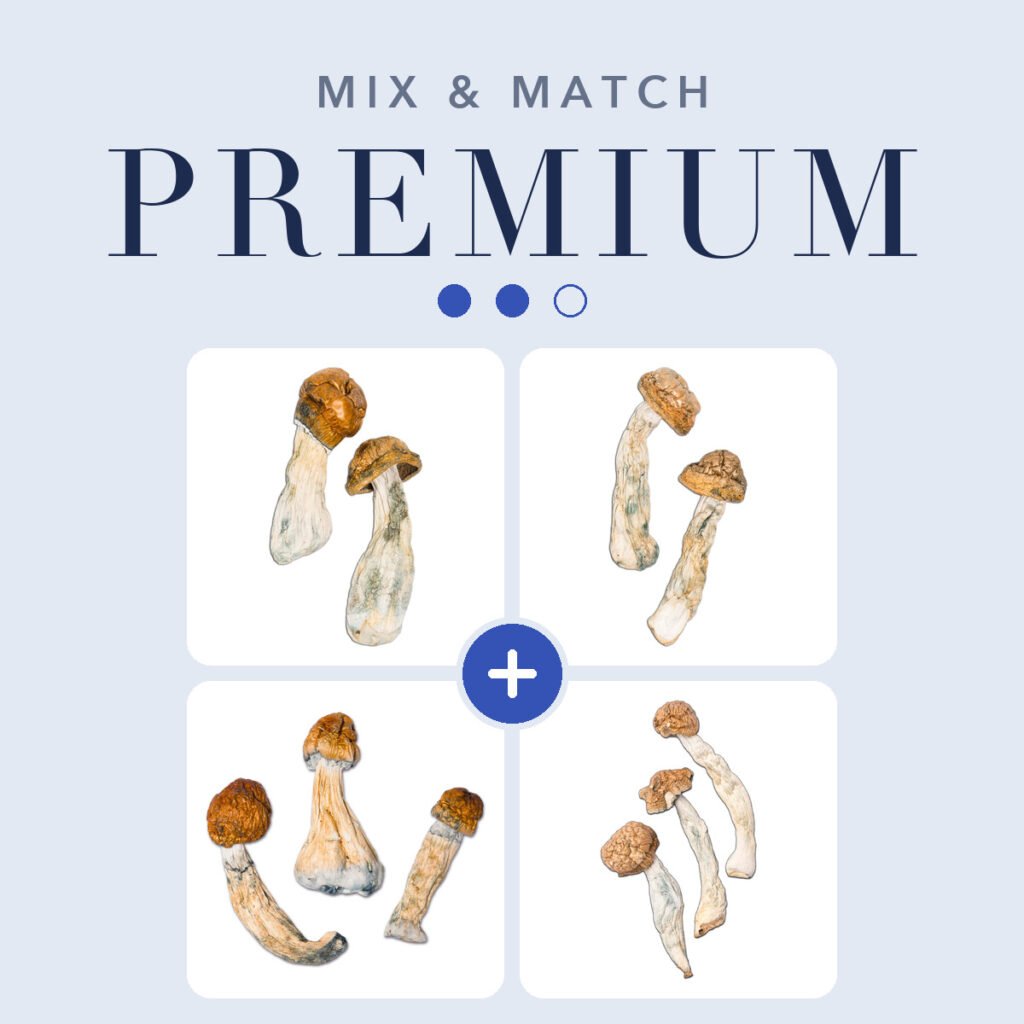Mix and Match Ounce — Premium tier: pick any 4 premium strains, 4 × 7g